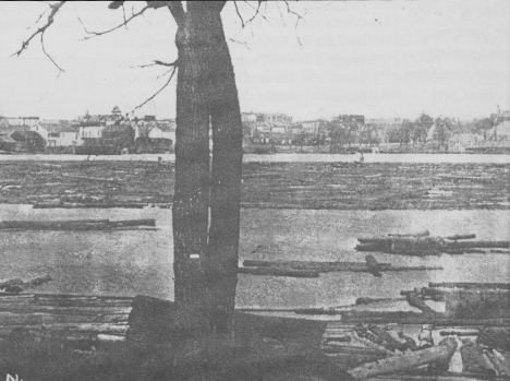 Logs on Lake Bemidji.