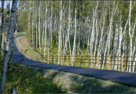 Gitchi-Gami State Trail near Beaver Bay Minnesota