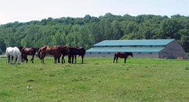 Wild River Stables, Center City Minnesota