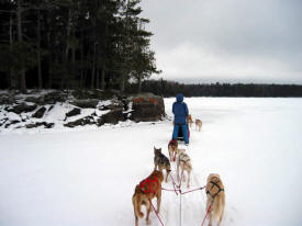 White Wolf Dog Sled Trips, Ely Minnesota