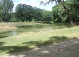 Oak Park Campground, Garfield Minnesota