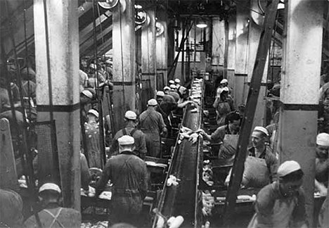 Corn huskers at the Minnesota Valley Canning Company, LeSueur Minnesota, 1950