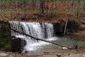 Nerstrand Woods State Park