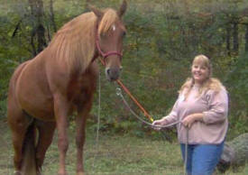 Benvelle Equestrian Center, Pequot Lakes Minnesota