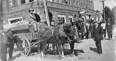 Man with load of potatoes at Rush City Minnesota, 1906