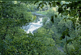 Kilen Woods State Park, Lakefield Minnesota