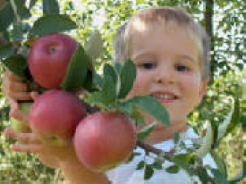 Welsh Heritage Farms, Lake Crystal Minnesota