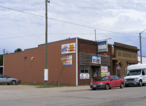 Bar and antique store, Porter Minnesota, 2011