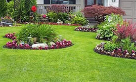 Thies Lawn Care & Landscape, Howard Lake Minnesota