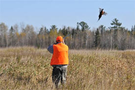 Wild Experience Hunting Preserve 