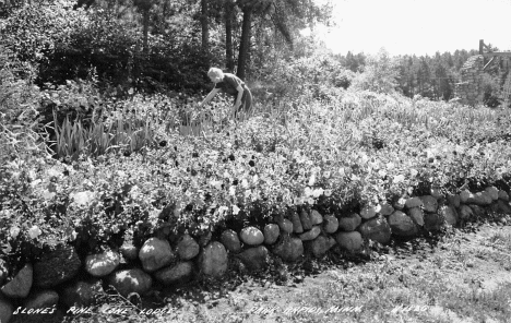 Slone's Pine Cone Lodge near Park Rapids Minnesota, 1940