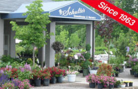 Schulte's Greenhouse and Nursery, St. Michael Minnesota