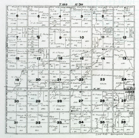 Plat map of Springdale Township in Redwood County Minnesota, 1916