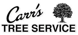 Carrs Tree Service, Alexandria, Minnesota