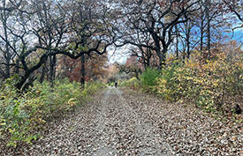 Anoka Nature Preserve