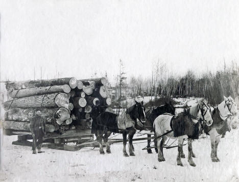 Hauling logs from Nixon Lumber Camp near Akeley Minnesota, 1895