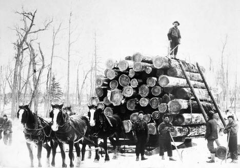 Loading logs at the Corner and Wilson logging company near Akeley, 1900