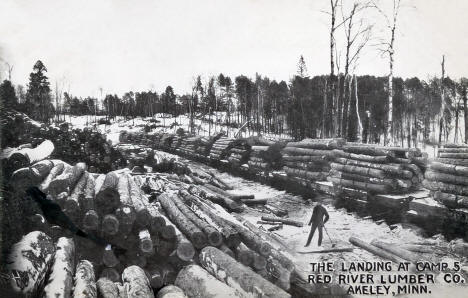 Train at the landing at Camp number five, Red River Lumber Company, Akeley, Minnesota, 1913
